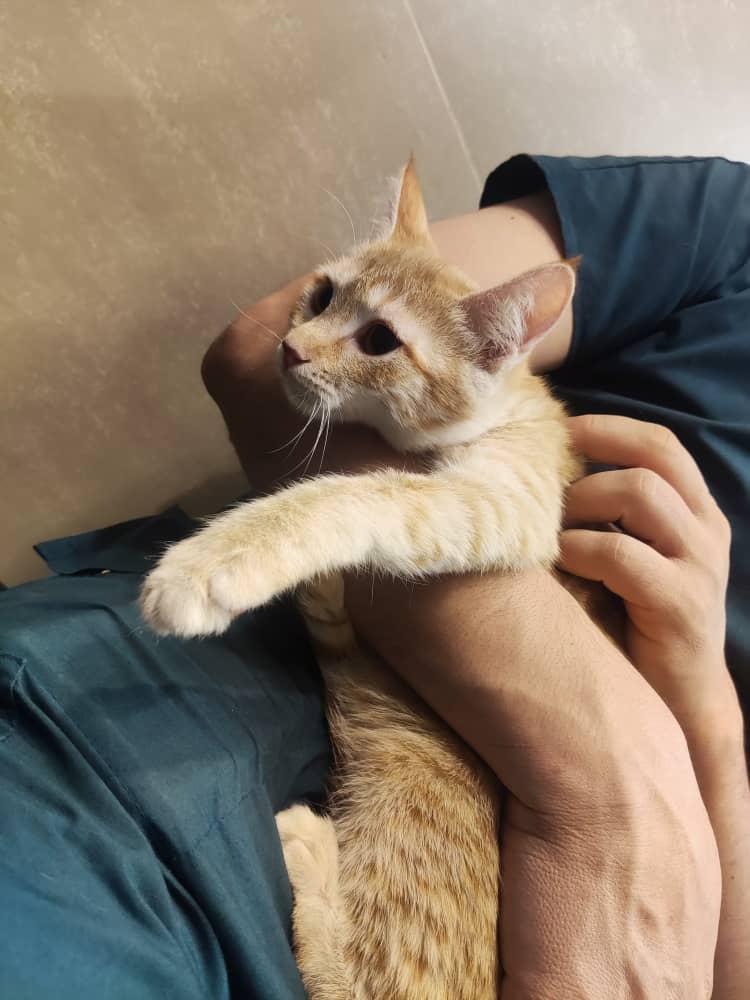 ناتی 💜