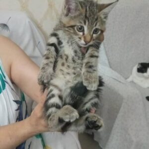 پسر بامزه
