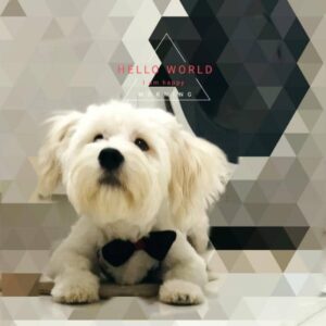 واگذاری رایگان