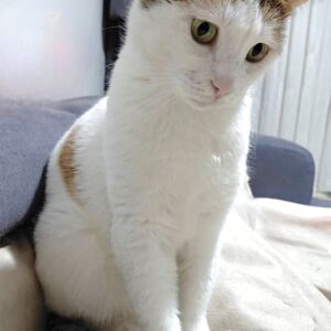 مامان قشنگه ❤️