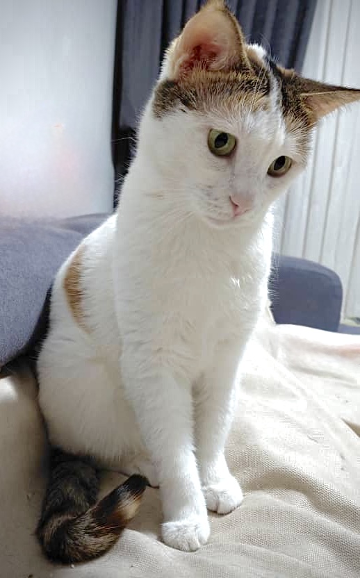 مامان قشنگه ❤️