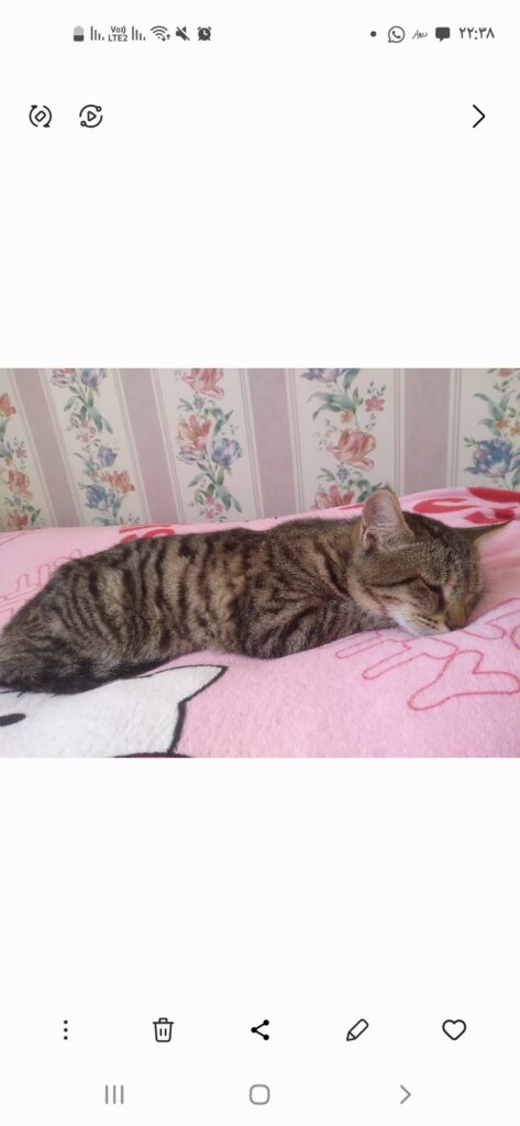 نیاز به جراحی