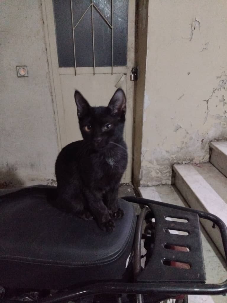 مشکی ی پسر دوست داشتنی