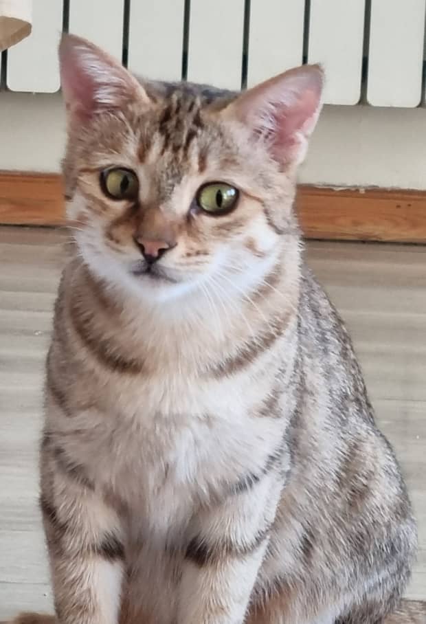 ایناز دختر ۱۰ ماهه زیبا دستی  مهربون اصلا بیرون‌نبوده