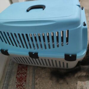 باکس حمل سگ و گربه سایز5 خرید از ترکیه