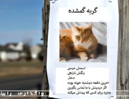 هنگام گم شدن حیوان خانگی باید چه کارهایی انجام دهیم؟