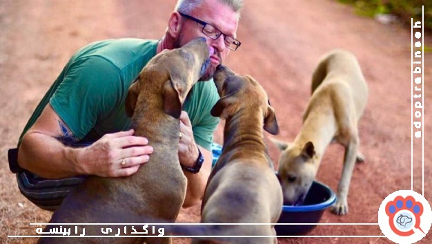 محبت به حیوانات