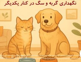نگهداری گربه و سگ در کنار یکدیگر