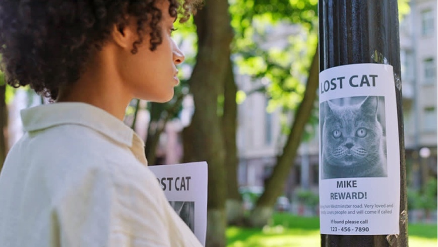 گمشدن حیوان خانگی