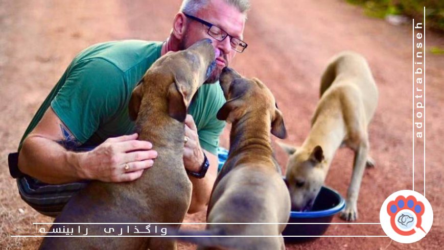 محبت به حیوانات