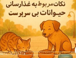 غذارسانی به حیوانات بی سرپرست