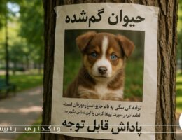 هنگام گم شدن حیوان خانگی باید چه کارهایی انجام دهیم؟