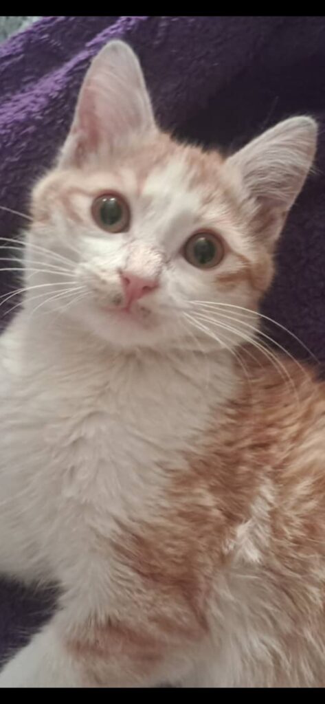 ارسی پسر ۳ماهه بعای مهربون تو خونه بدنیا اکمده