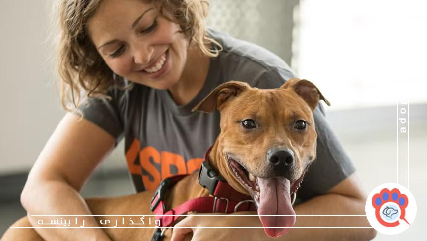 راهکارهایی برای تشویق دیگران به انتخاب سرپرستی به جای خرید