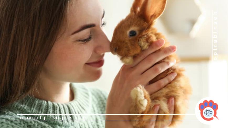 مراقبت از خرگوش