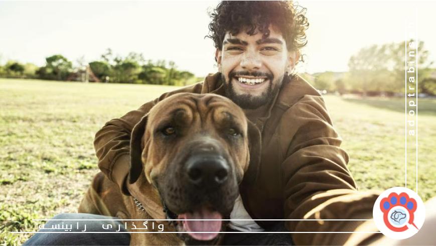 معرفی وب سایت آگهی رابینسه؛ بستری امن برای سرپرستی مسئولانه حیوانات