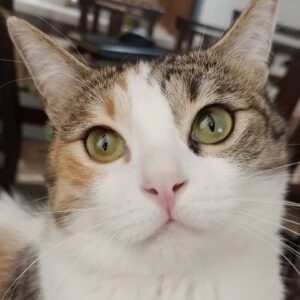 نیازمند یه خانواده امن و مسئولم