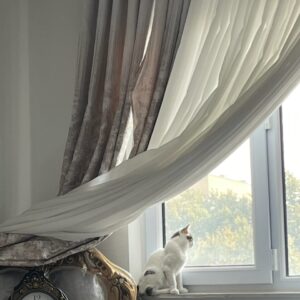 ماده ۴ ماهه dsh