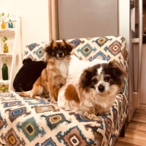 واگذاری به خانواده