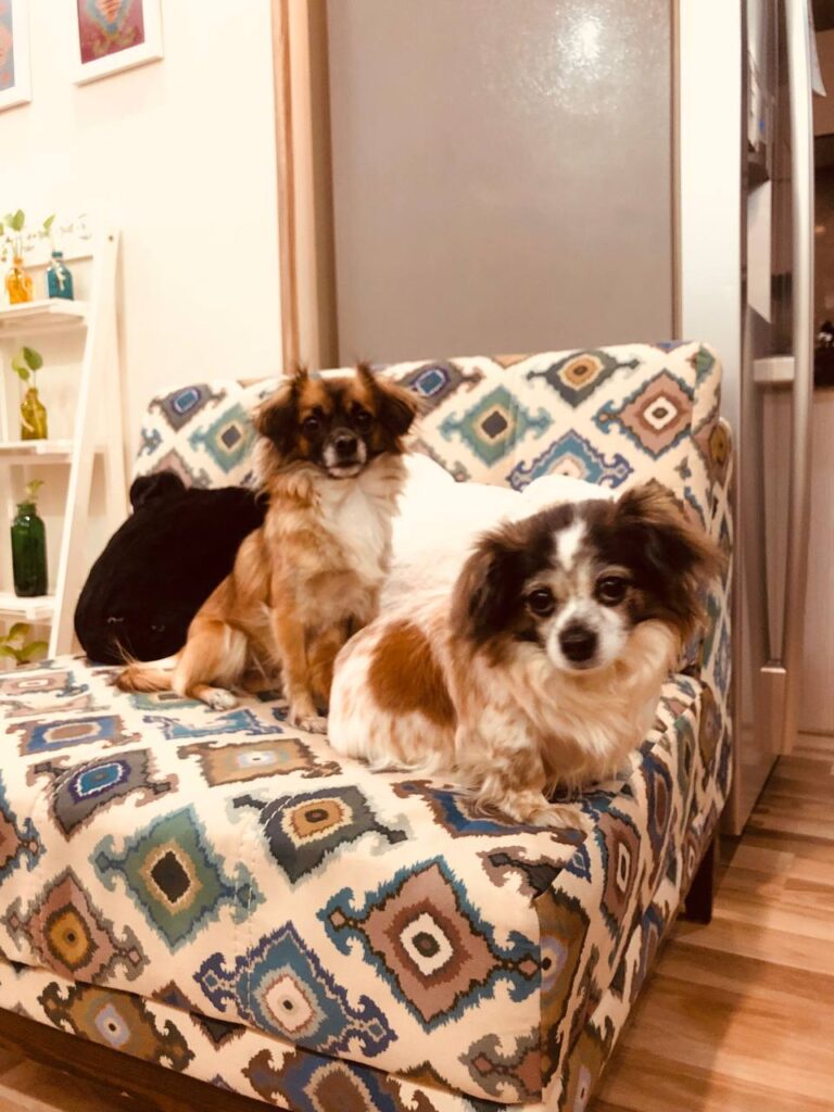 واگذاری به خانواده