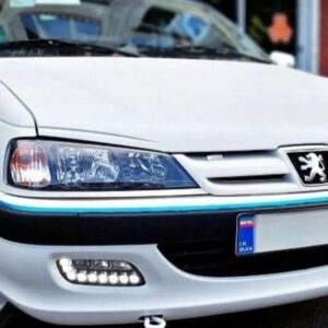 حمل پِت یا کَت