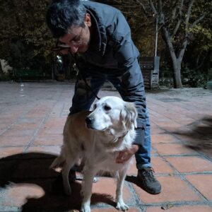 سگ پیدا شده