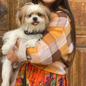 سگ شیتزو تریر