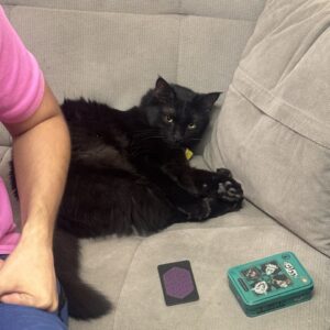 گربه سیاه با چشم‌های زرد، نام خرما، سهروردی اندیشه