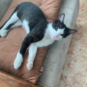 سیاه سفید مهربون