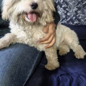 دختر خیلی خوب و مهربونیه