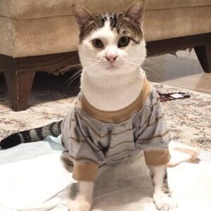 پسر آروم و بغلی