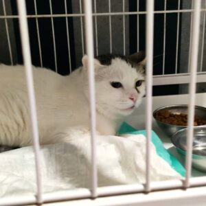 میشا چشم انتظار خانواده‌ست