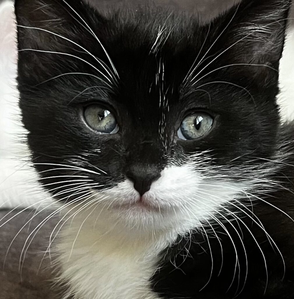 واگذاری ترب کوچولو دختر4ماهه