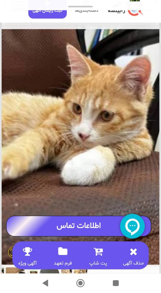 ارسی پسر دوماهه مهربون