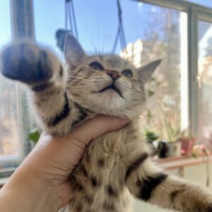 حنا دختر ناز و مهربون