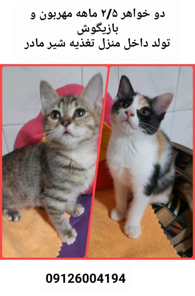 دوخواهر زیبا