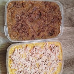 غذای خانگی گربه و سگ