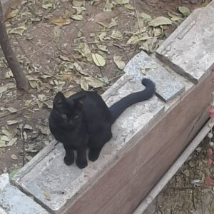 نیاز به آغوش گرم خوانواده دارن