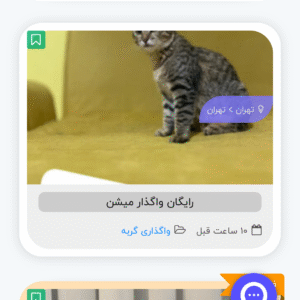 واگذاری رایگان dsh سه تا ماده عقیم شده و یه نر تاکسیدو عقیم نشده