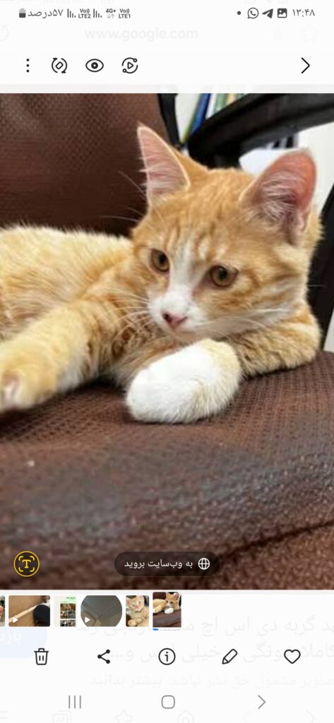 ارسی. دختردوماهه بسیار زیبا مهربون وتوخونه بدنیا اومده