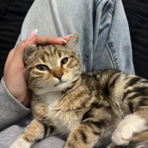 پسر ملوس ۲ ماهه