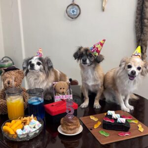 واگذاری رایگان