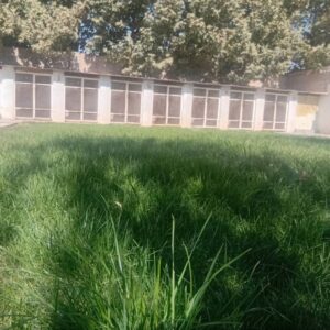 نگهداری سگ و آموزش