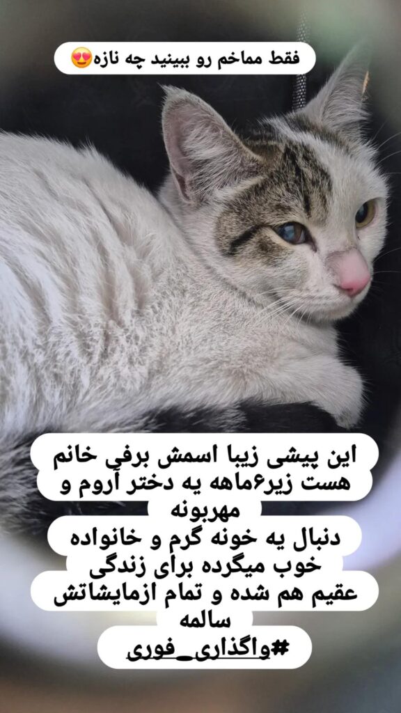 واگذاری رایگان