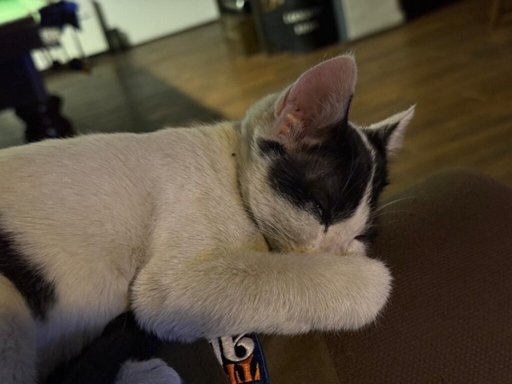 پسر کوچولوی ۳/۵ ماهه