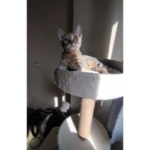 میشل خانم فوق‌العاده مهربون ۳ ماه