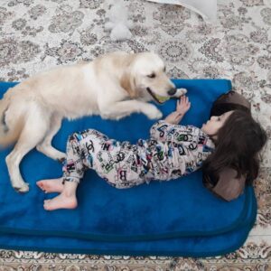 توله گلدن پیدا کردم صاحب بیاد ببره