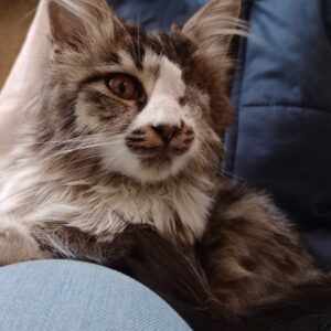 خورشید خانم مهربون ۴ ماهه