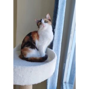 دختری زیبا رنگی ۲.۵ ماه