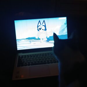 واگذاری رایگان با تمام وسایل